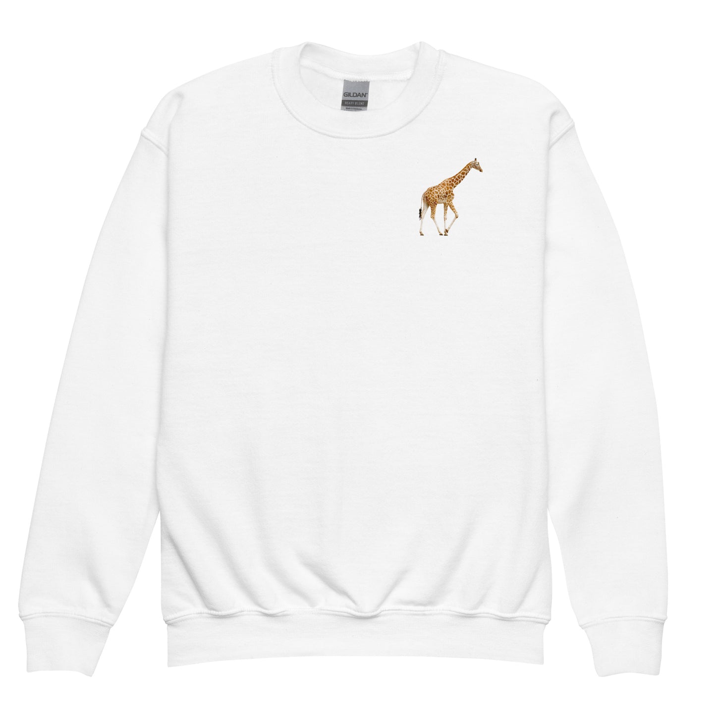 Youth crewneck sweatshirt